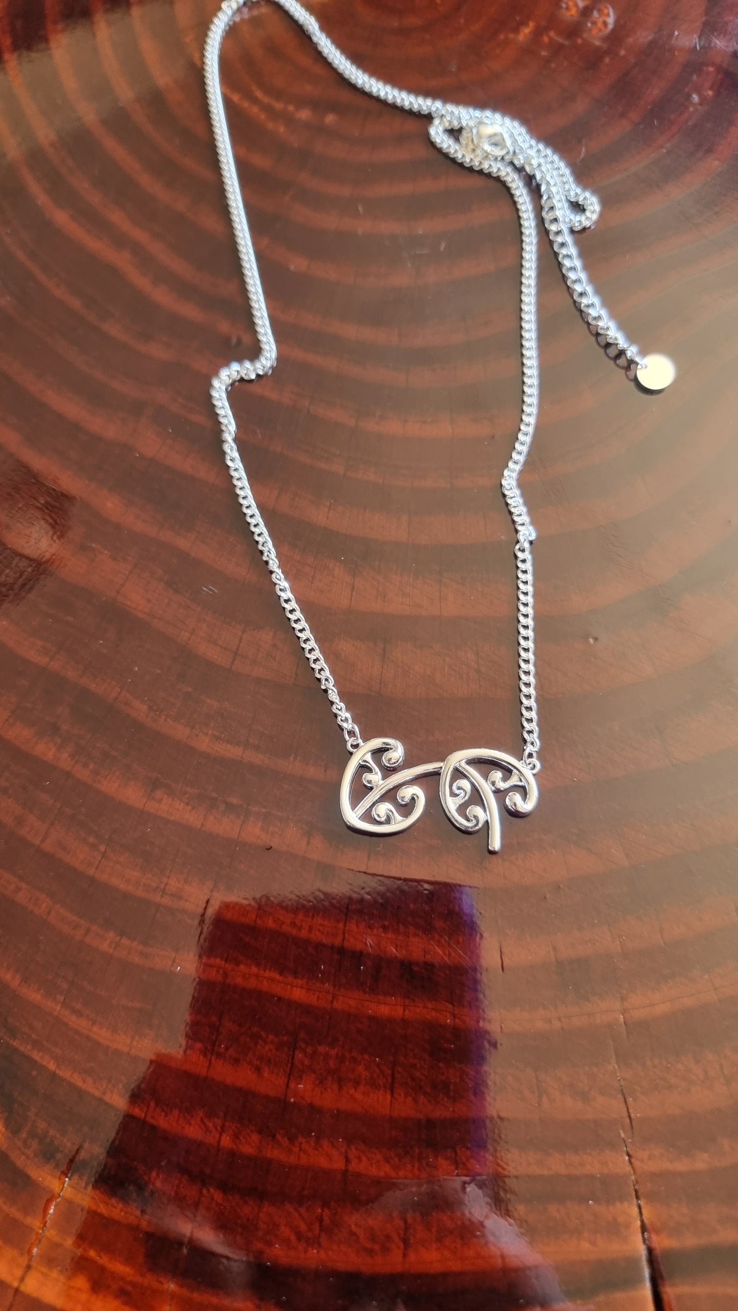 Whakamanawa Pendant Necklace in Silver